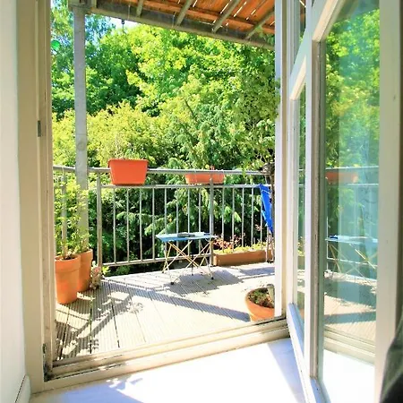 Zentrale „treibholz“ Im Sonnenblumenhaus *