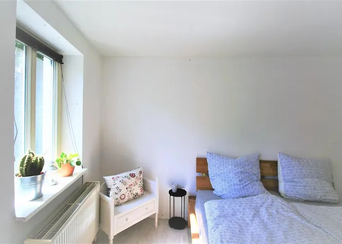 Zentrale „treibholz“ Im Sonnenblumenhaus *