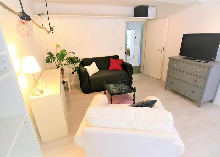 Zentrale „treibholz“ Im Sonnenblumenhaus Apartman Flensburg
