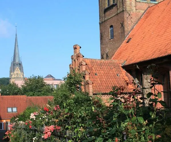 Apartman Zentrale „treibholz“ Im Sonnenblumenhaus